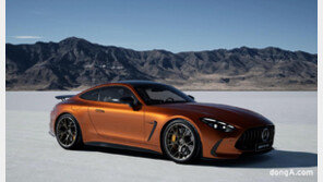 816마력 최상급 ‘메르세데스-AMG GT’ 출시