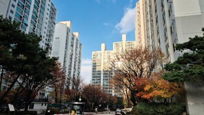 “신고가 갈아치워도 줄 선다”… 10·15 대책에도 ‘서울 아파트 불패’