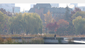 [날씨]내일 서울 최고 ‘15도’로 포근…중부지역 미세먼지 ‘나쁨’ 