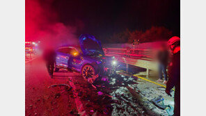 역주행 폭스바겐, 람보르기니 들이받아… 20대 동승자 숨져