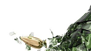 美 어린이 생일파티 중 총격 사건…4명 사망·10명 부상