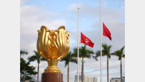 화재참사 시위로 번질라… 홍콩, 책임규명 청원 주도자 체포