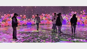 디지털미디어 더한 대전 ‘대청호생태관’… 방문객 2배 껑충