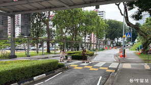 도로 갈아엎어 ‘구불구불’ S자로… 고령 보행자 사고 80%↓