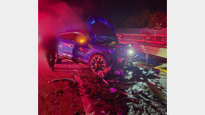 역주행 폭스바겐, 람보르기니와 충돌해 운전자 중상-동승자 사망