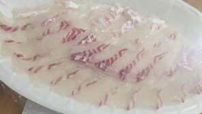 “참돔 2㎏ 시키고 재봤더니 258g”…단골 속인 대구 횟집 논란