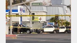 명절에 만난 美 형제, 차 안서 말다툼하다 동생이 형 살해