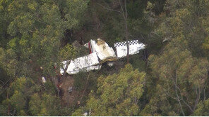 호주 시드니 인근에서 경비행기 2대 공중 충돌…조종사 1명 사망