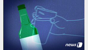 음주 상태 킥보드 몰다 사고 후 달아난 20대…현장에 흘린 지갑에 덜미