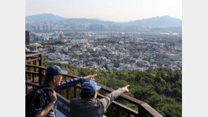 분양 및 부동산 경제면 기사 이미지