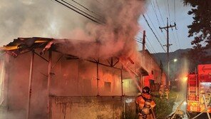 홍성 돼지농장 불로 700마리 죽어…4억6000만원 피해