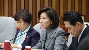 나경원 “추경호 영장발부 여부 따라 계엄 사과의 수위·방법 달라져야”