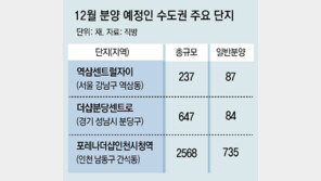 연말 밀어내기 2만채… 수도권에 70% 집중