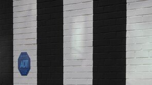 [고양이 눈]실수일까, 착시일까