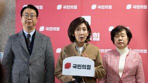 尹 1심 지귀연 판사 바뀔수도…내란재판부 설치법안 법사소위 통과