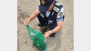 “소라 삶아 먹고 응급실행, 죽음 문턱까지”…무슨 일이?