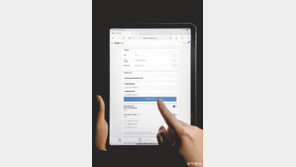 정보유출 추정 中직원 퇴사후에도 ‘내부 접근 인증키’ 방치… “쿠팡, 도둑에게 집 열쇠 맡긴 셈”