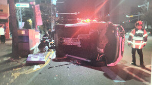 새벽 도심 가로등·변전기 쾅쾅… 만취운전 40대 입건