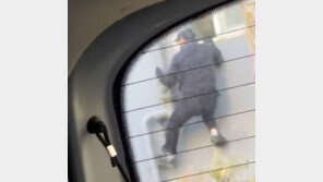 아파트 배관 타던 빈집털이범, 소방관에 딱 걸렸다