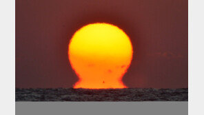 병오년 새해 첫날 경북 동해안 해맞이 명소 어디?