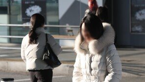 영하 35도 북극한기, 한반도 덮친다…남서부엔 10㎝ 폭설