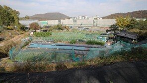 공공택지 주민 보상 최대 1년 빨라진다…서리풀지구 첫 적용