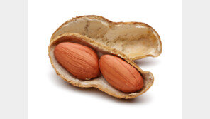 심심풀이 땅콩?…알고보니 치매 예방에 효과!