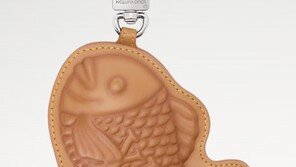 붕어빵에 명품을 입혔다?…141만원 루이비통 키링에 술렁