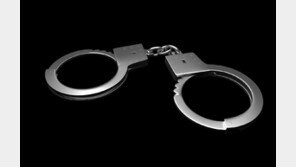 日거주 20대 한국인 ‘치마속 몰카’ 반복해 시도하다 덜미