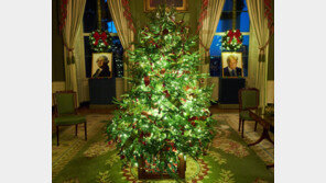 레고로 만든 트럼프 초상화, 워싱턴과 나란히