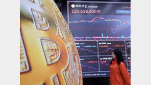 비트코인 두달새 33% 급락, 장중 8만4000달러선 붕괴… 코인株 투자 서학개미 울상