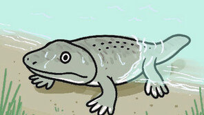 고생물학자의 ‘보물’ 찾기[서광원의 자연과 삶]〈115〉