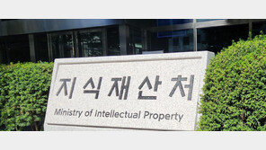 지식재산처 “2029년까지 특허법조약 가입”