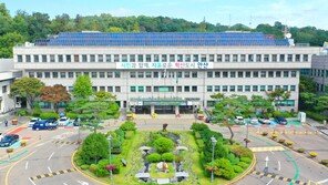 빛 조형물-스노우쇼… 안산에 1㎞ ‘빛의 나라’