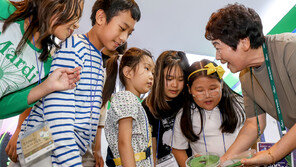 무주반딧불축제, 친환경 프로그램 부문 금상