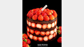 성심당 케이크 겨울시즌 예고에 온라인서 ‘오픈런’ 들썩