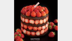 성심당 크리스마스 케이크 떴다…온라인 ‘오픈런 예고’ 들썩