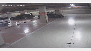 송도 지하주차장서 유튜버 ‘수탉’ 납치·폭행…공범 1명 더 추가기소