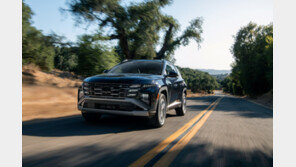 11월 현대차·기아 美 판매 15.4만대, 전년比 0.1%↑… 전기차 58.9%↓