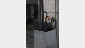 [고양이 눈]누군가의 작은 손길