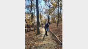 “산책하는 이웃주민 위해 직접 낙엽 쓸어요”