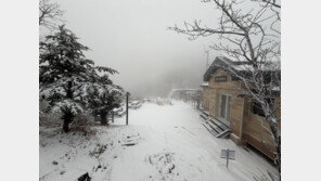 올겨울 첫 대설특보 발효…서해안·제주 중심 최대 17㎝ 눈 쌓여