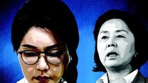 [횡설수설/신광영]김 여사 사무실서 나온 김영선 압수영장