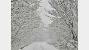 서울 오늘 최대 5cm 첫눈…영하 9도 매서운 한파