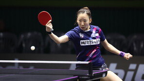 탁구 양하은, WTT 피더 파르마 대회서 단식·혼복 우승…2관왕 등극