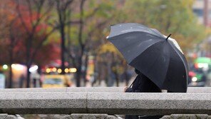 올가을 따뜻했다…평균기온 16.1도로 역대 2위