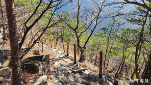 동해 무릉계곡 비경 담은 ‘피마름골 숲길’ 개방