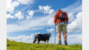 “주 2회·회당 20분”…‘치매 예방 최소 운동량’ 과학적 확인