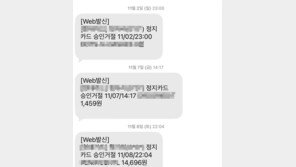 쿠팡 2차 피해? 해외 결제에 개인정보 변경까지…피해자 불안