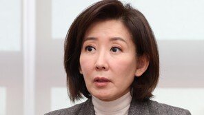 野 “유승민-한동훈도 경선… 현역 단체장 지역 모두 사수”